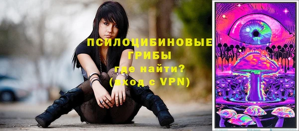 соль ск Аркадак