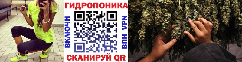 МАРИХУАНА гибрид  Радужный 